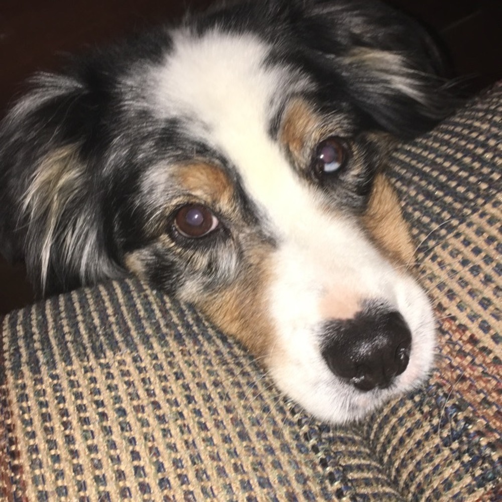 Meet your Posher, Izzie